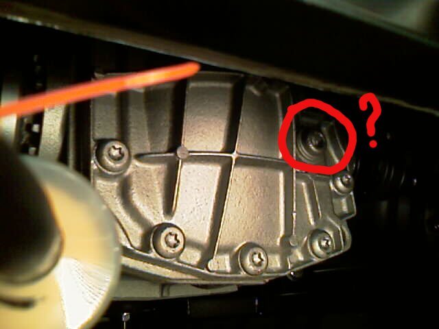 Diff hole for oil?