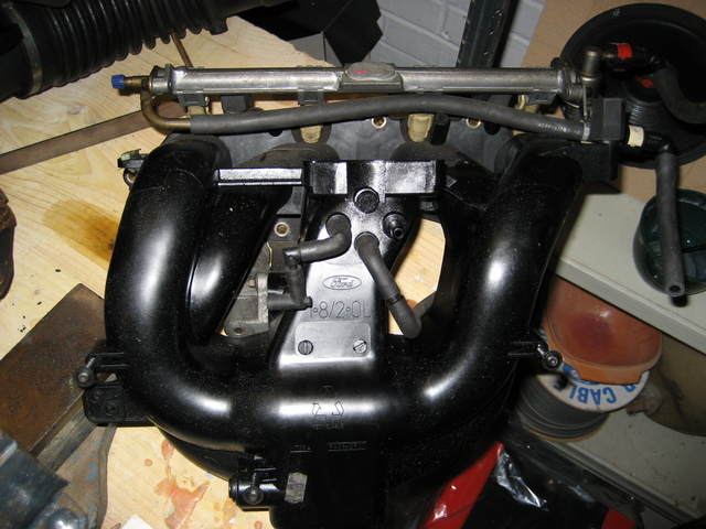 Manifold and Fuel rail