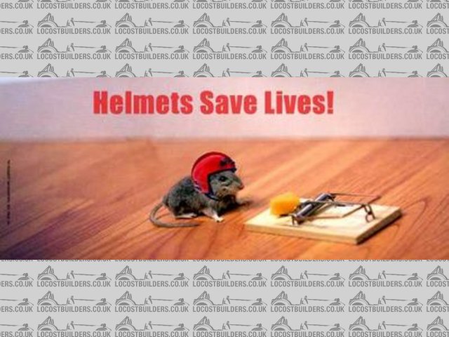 Rescued attachment normal_helmetssavelives.jpg