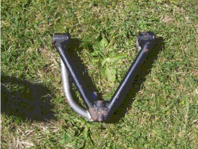 Rescued attachment UpperWishbones.GIF