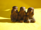 Three_wise_monkeys.jpg