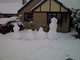 a1072290-snowmen.jpg