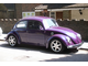 a831476-purple.jpg