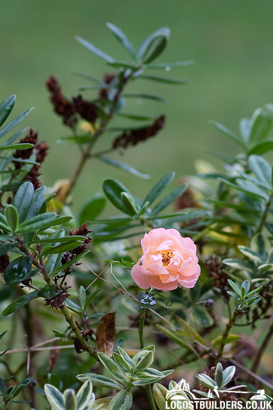 IMAGE: http://locostbuilders.co.uk/upload/Canon_85mm_02_800pix.jpg