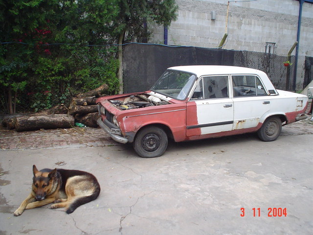 Fiat Donnor and my Dog Felipe