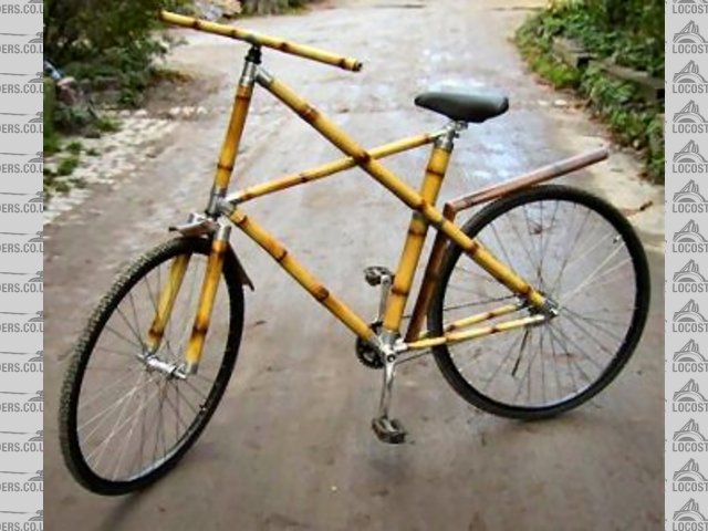 Rescued attachment BambooBicycle.jpg