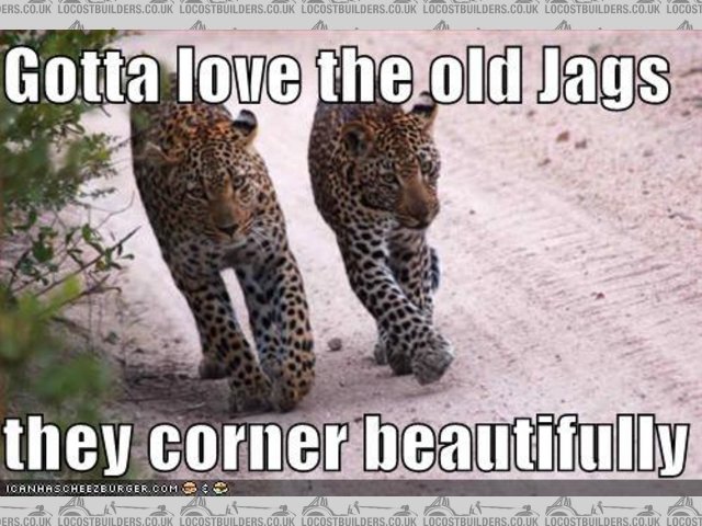 Rescued attachment jags.JPG