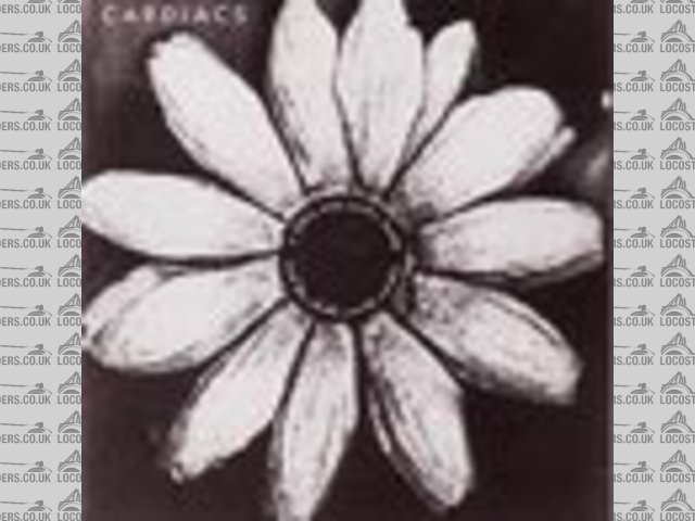 Cardiacs flower 100pix