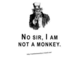 monkey_small.jpg