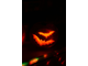 pumpkin-batty-sm.jpg